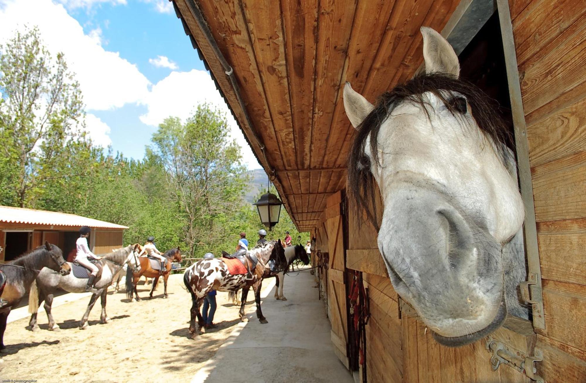 Hotel Els Torrents Bellver De Cerdanya